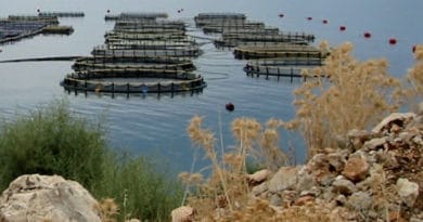 master baemt bioressources aquatiques