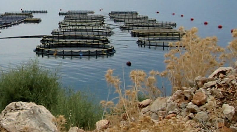 master baemt bioressources aquatiques